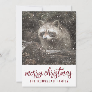 Raccoon In Winter Snow Christmas Holiday Card