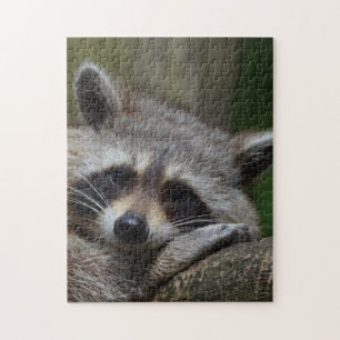 Raccoon Jigsaw Puzzle