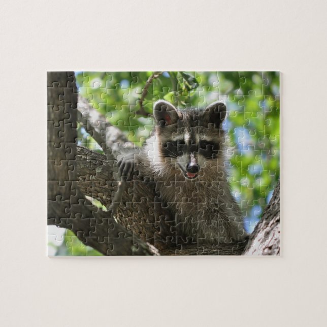 Raccoon - Jigsaw Puzzle (Horizontal)