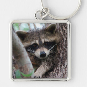 Raccoon Keychain