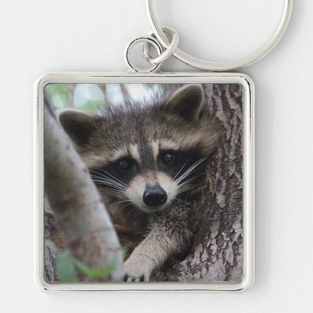 Raccoon Keychain (Front)