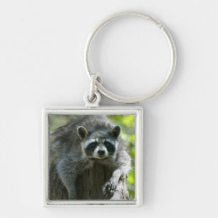 Raccoon Keychain
