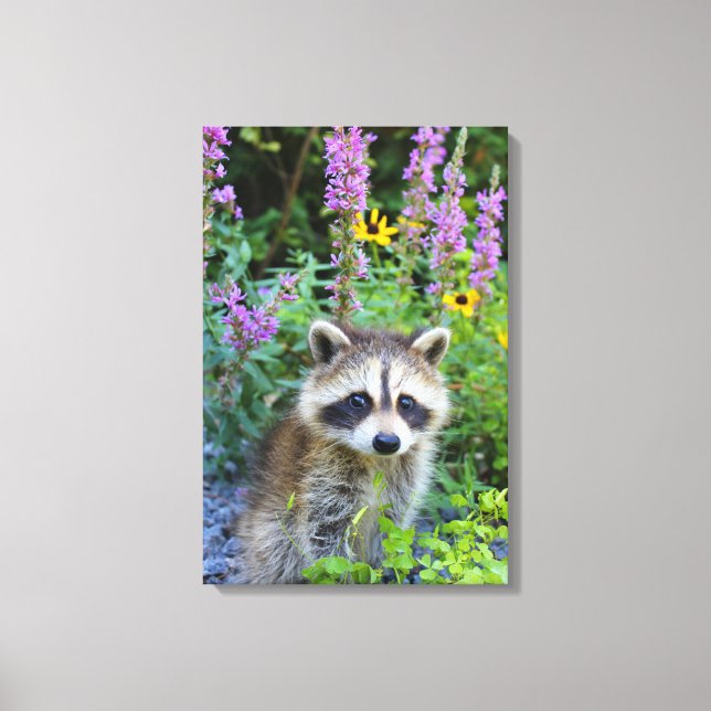 Raccoon kit among the flowers canvas print. print (Front)
