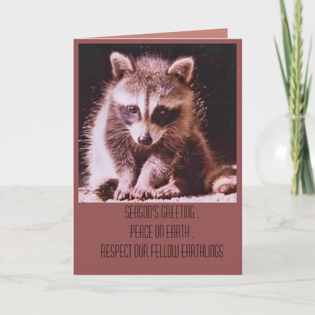 Raccoon Kit Noël Gremages Carte de vacances (Devant)