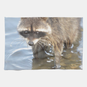 Raccoon Kitchen Towel