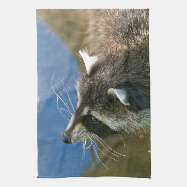 Raccoon Kitchen Towel (Vertical)