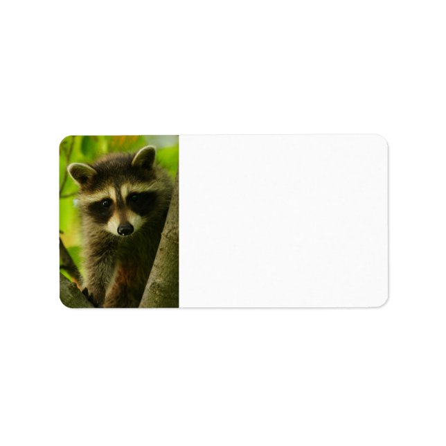 raccoon label (Front)