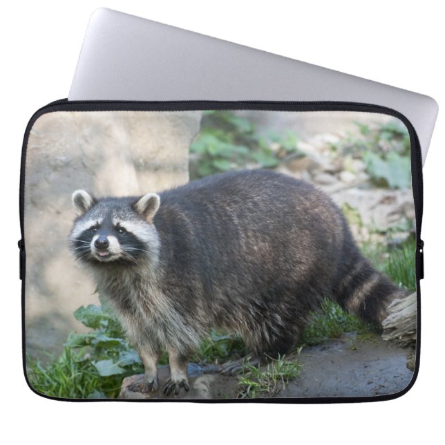 Raccoon Laptop Sleeve (Front)