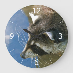 Raccoon Large Clock