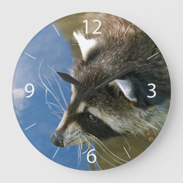 Raccoon Large Clock (Front)
