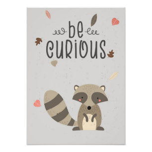 Raccoon Lover Be Curious Raccoon Photo Print