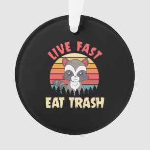 Raccoon Lover Live Fast Eat Trump