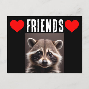 RACCOON LOVER RACCOONS POSTCARDS