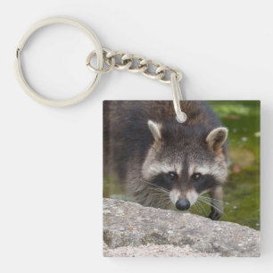 Raccoon Makes Direct Eye Contact Keychain