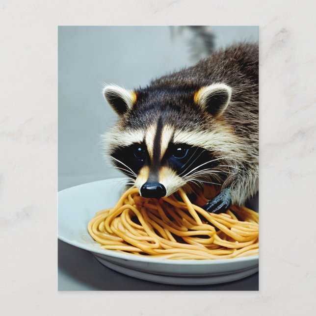Raccoon Manger Spaghetti Carte Postale (Devant)