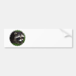 Raccoon Mask Bumper Sticker