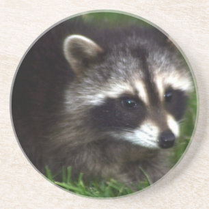 Raccoon Mask Coaster