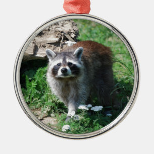 Raccoon Metal Ornament