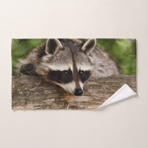 Raccoon mignon reposant sur un journal