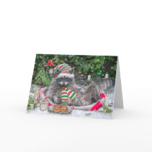 Raccoon Milk and Cookies