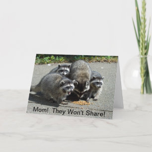 Raccoon Mom & Babies Card