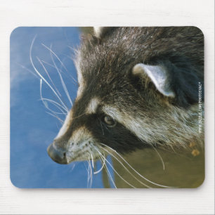 Raccoon Mouse Pad