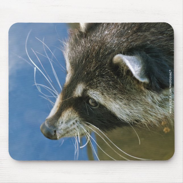 Raccoon Mouse Pad (Front)