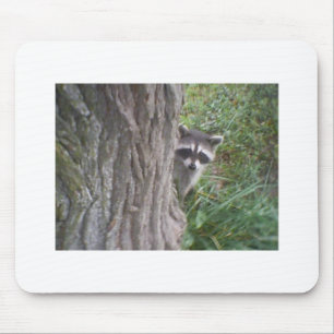 Raccoon Mouse Pad