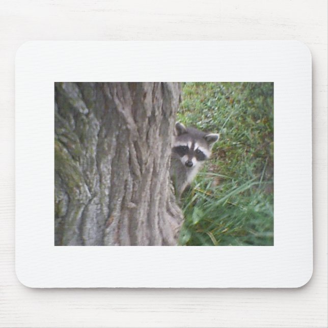 Raccoon Mouse Pad (Front)