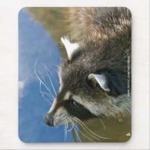 Raccoon Mouse Pad