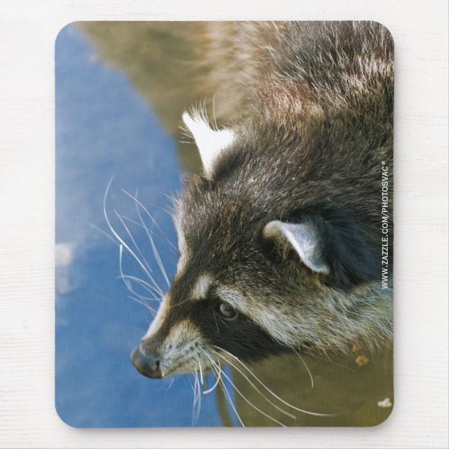 Raccoon Mouse Pad (Front)