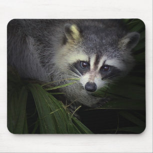 Raccoon Mousepad