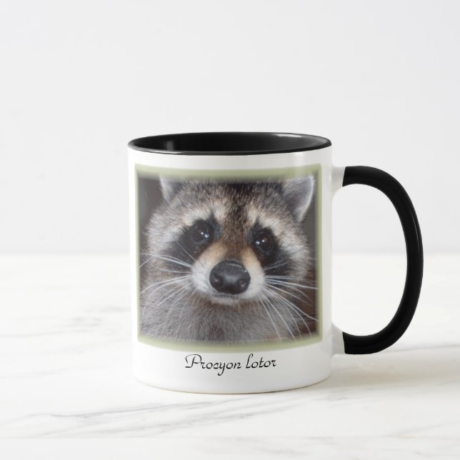 Raccoon mug - Procyon lotor (Right)