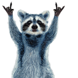 Raccoon - Nature Raccoon - Cute Raccoon Sticker