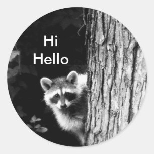Raccoon noir et blanc dans l'arbre Sticker de la f