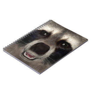 Raccoon Notebook