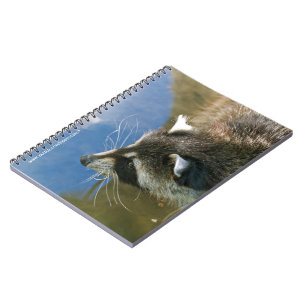 Raccoon Notebook