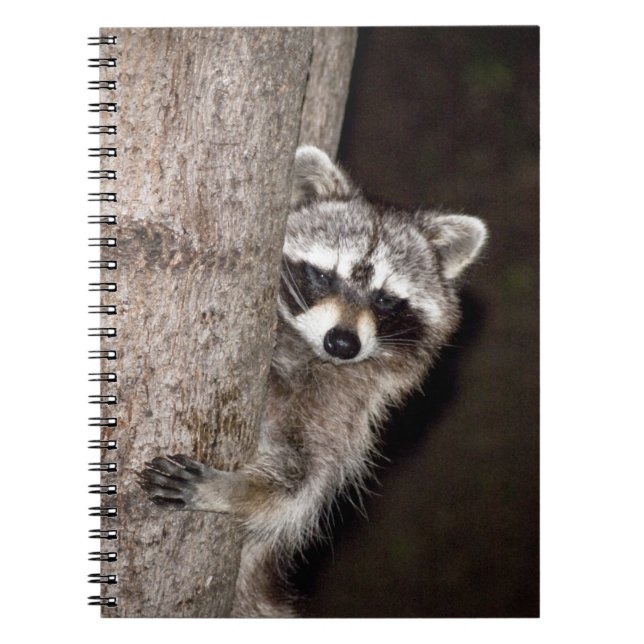 raccoon notebook (Front)