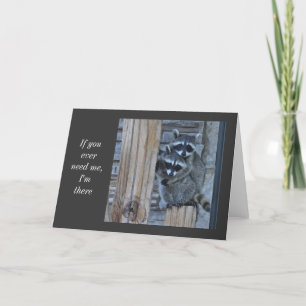 Raccoon Notecard