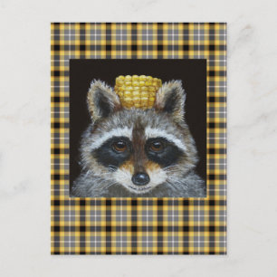 Raccoon on plaid postcard