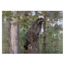 Raccoon on stump cutting board