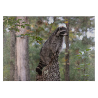 Raccoon on stump cutting board