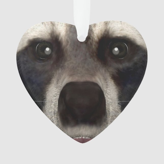 Raccoon Ornament (Front)