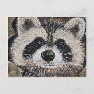 Raccoon Painting Postcard