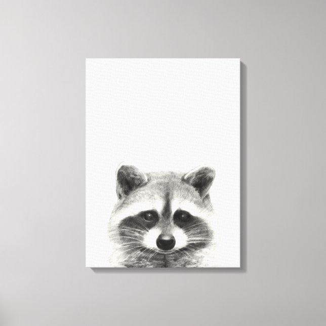 Raccoon Pencil Drawing Canvas Print (Front)