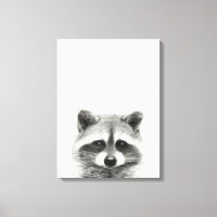 Raccoon Pencil Drawing