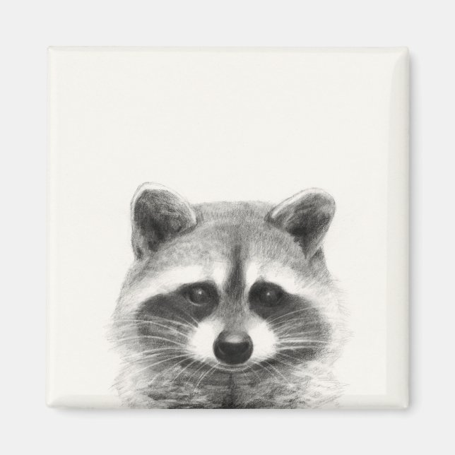 Raccoon Pencil Drawing Magnet (Front)