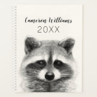 Raccoon Pencil Drawing