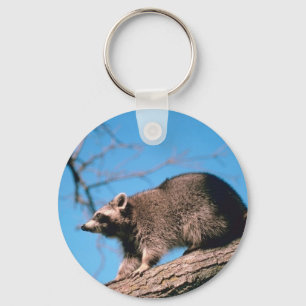 Raccoon Perched Keychain