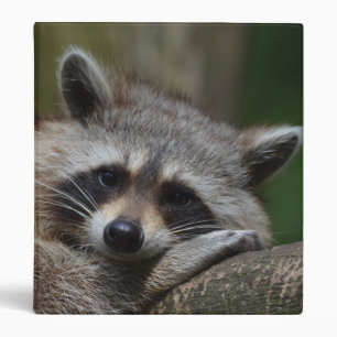 Raccoon Photo Binder